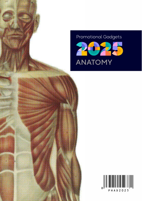 Anatomy